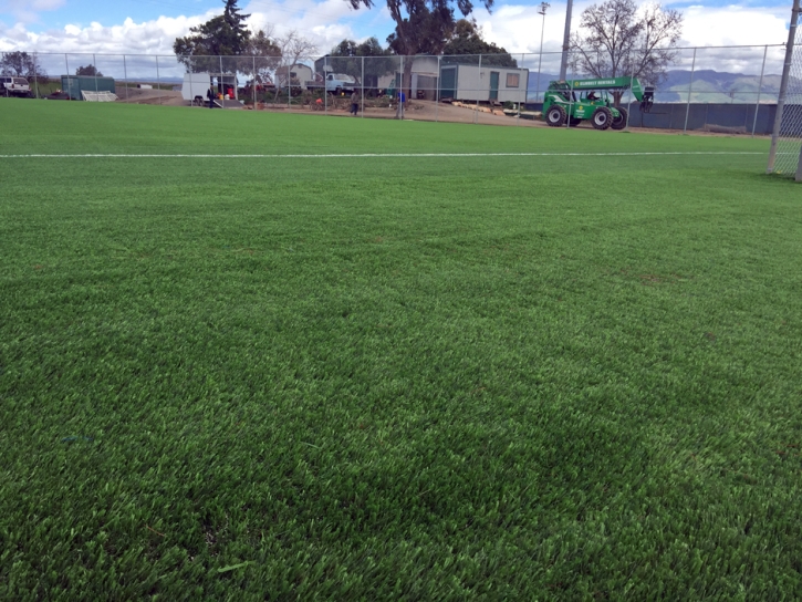 Grass Installation Coral Springs, Florida Softball