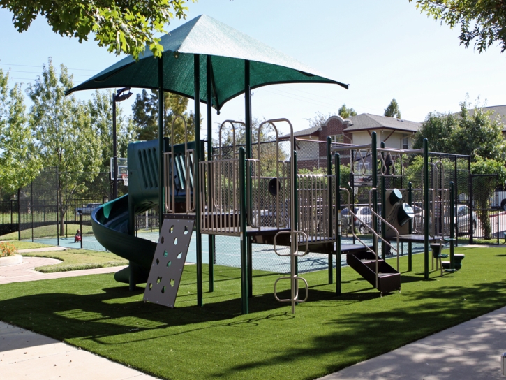 Grass Installation Palm Harbor, Florida Indoor Playground, Recreational Areas