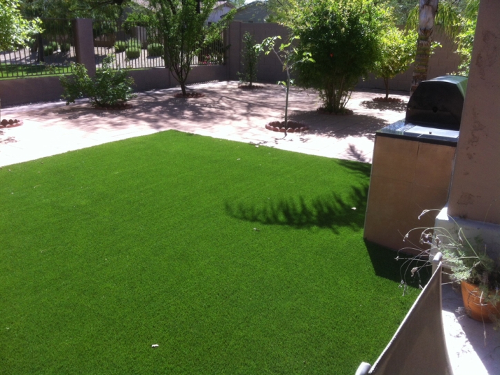 Grass Installation Pembroke Pines, Florida Grass For Dogs, Backyards