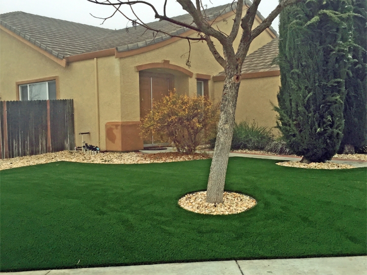 Grass Turf Broadview Park, Florida Landscape Rock, Front Yard Landscaping