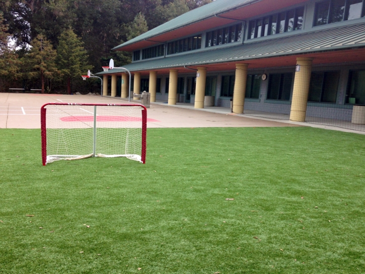 Grass Turf Hialeah, Florida Bocce Ball Court, Commercial Landscape