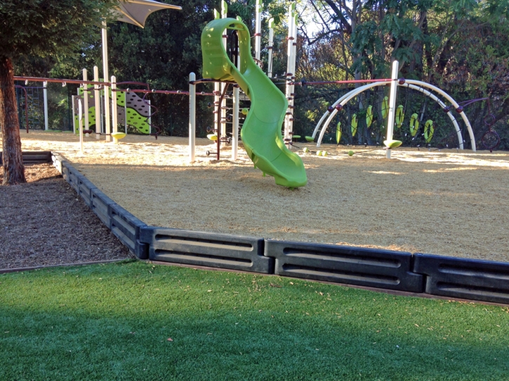 Grass Turf Micco, Florida Upper Playground, Parks