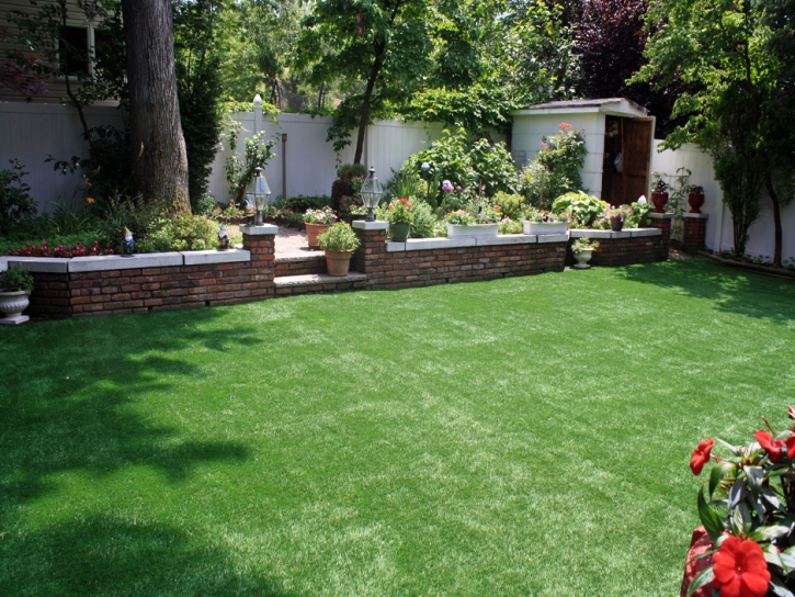 Grass Turf Riviera Beach, Florida Backyard Deck Ideas, Backyard Landscape Ideas