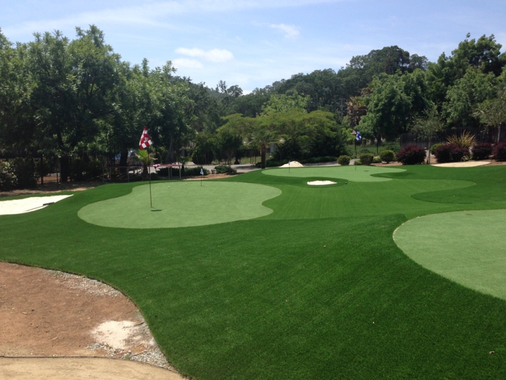 Grass Turf Winter Garden, Florida Artificial Putting Greens, Landscaping Ideas For Front Yard