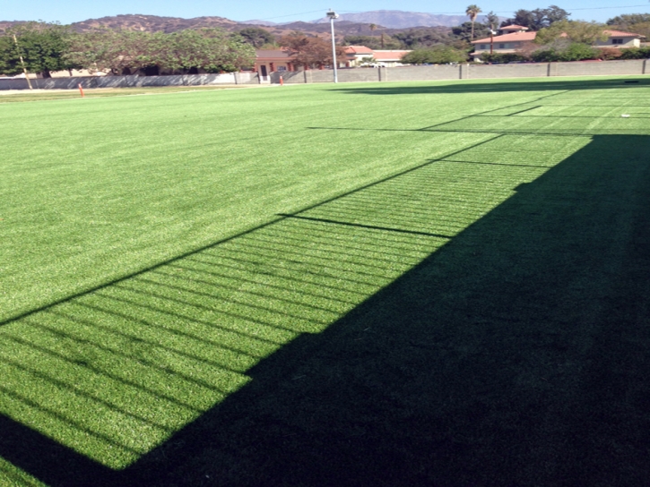 Grass Turf Zephyrhills South, Florida City Landscape