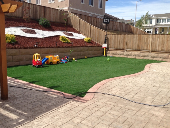 Green Lawn Edgewater, Florida Playground Turf, Backyard Garden Ideas