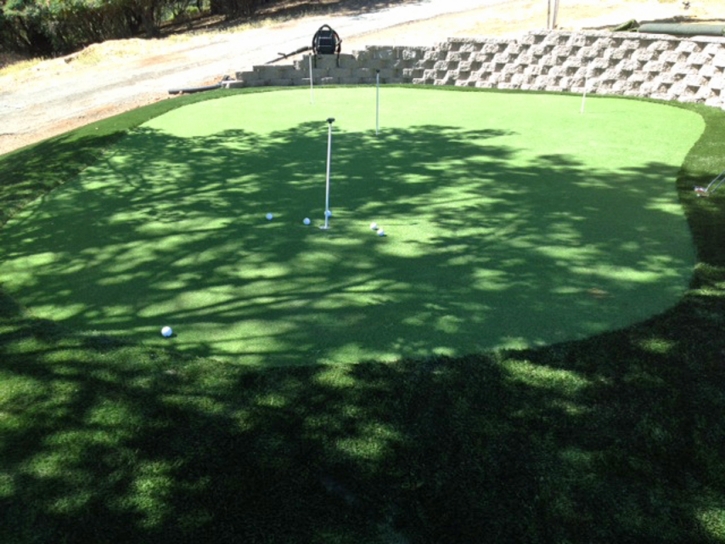 Green Lawn Fuller Heights, Florida Landscape Rock, Backyard Landscaping