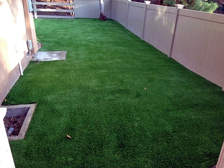 Green Lawn Lakewood Park, Florida Pet Turf, Backyard Landscaping Ideas