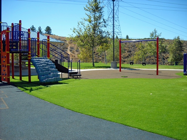 Green Lawn Safety Harbor, Florida Playground Safety, Recreational Areas