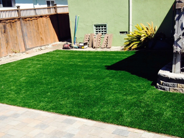 Green Lawn Sweetwater, Florida Lawn And Landscape, Backyard Ideas