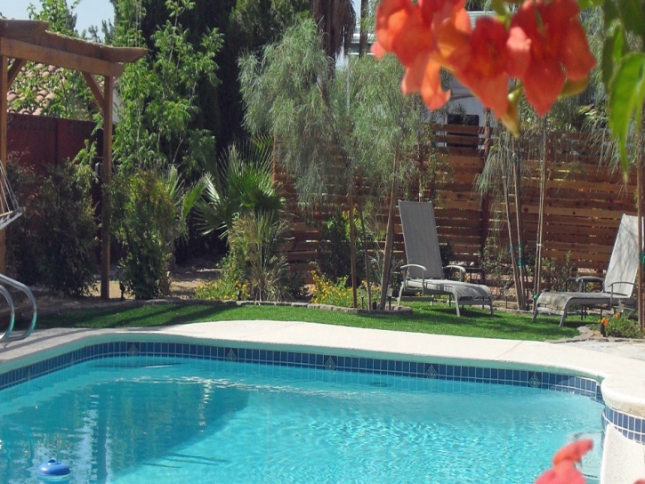 Green Lawn Tequesta, Florida Garden Ideas, Natural Swimming Pools