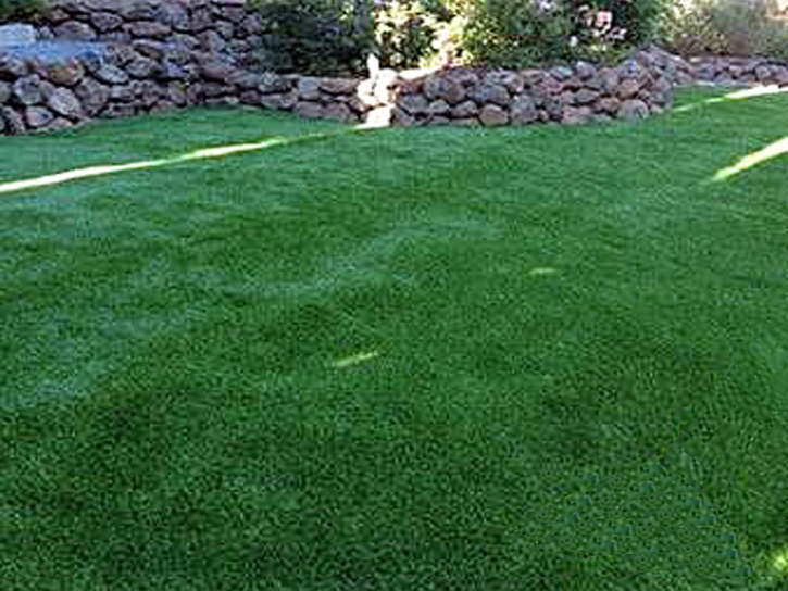 How To Install Artificial Grass Dania Beach, Florida Dog Park, Backyard Landscaping Ideas