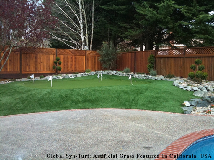 How To Install Artificial Grass Fort Myers Shores, Florida Indoor Putting Greens, Backyard Landscape Ideas