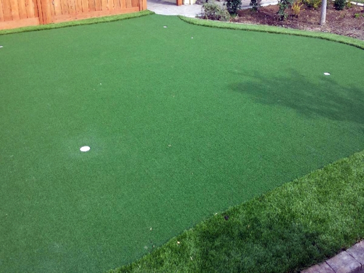 How To Install Artificial Grass Fuller Heights, Florida Home Putting Green