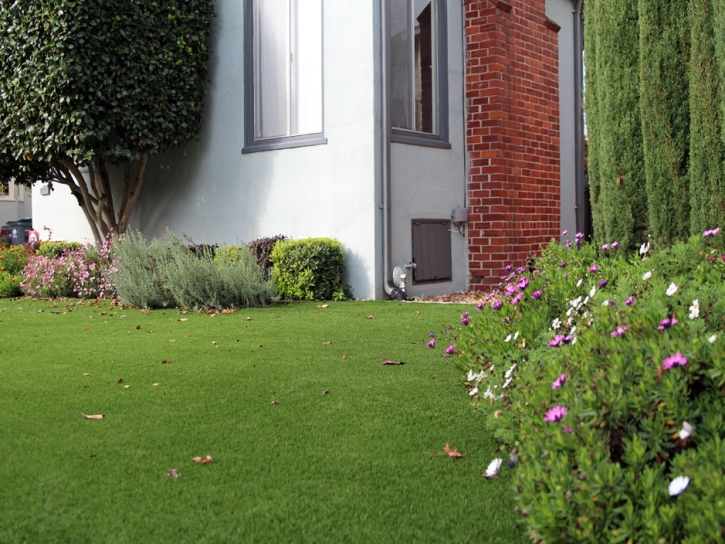 Installing Artificial Grass Dania Beach, Florida City Landscape, Front Yard Landscape Ideas