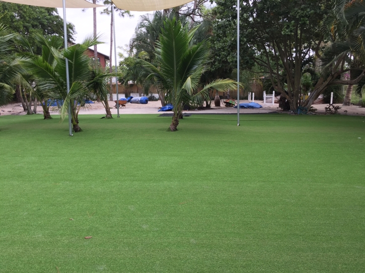 Lawn Services Hollywood, Florida Lawns, Commercial Landscape