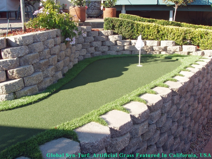 Lawn Services Punta Gorda Isles, Florida How To Build A Putting Green, Backyard Landscaping Ideas
