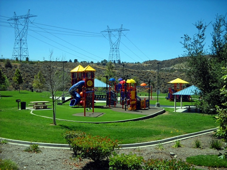 Outdoor Carpet Apollo Beach, Florida Landscaping, Parks