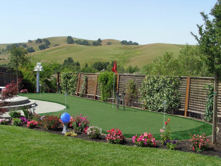 Outdoor Carpet Belle Isle, Florida Roof Top, Backyard Landscaping