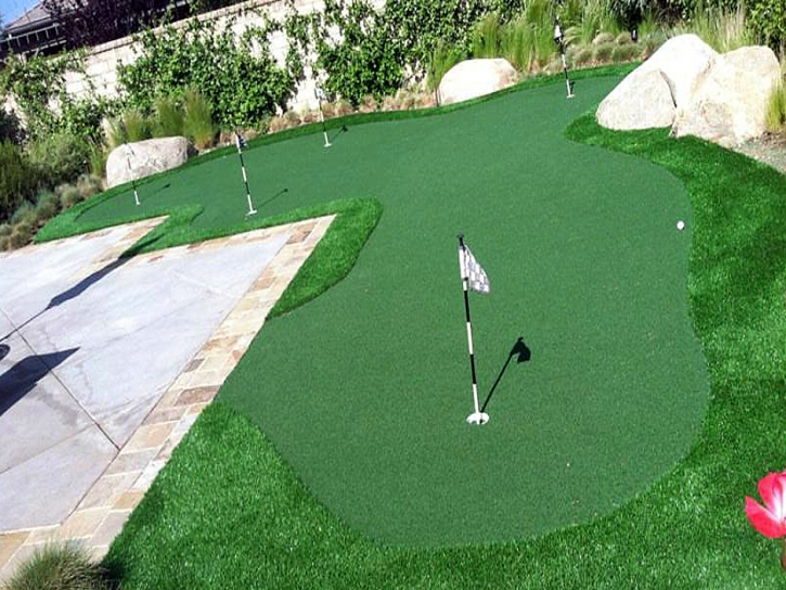 Outdoor Carpet Hudson, Florida Putting Green Turf, Backyard Landscaping