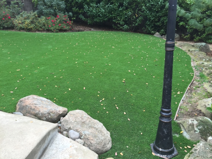 Outdoor Carpet Lighthouse Point, Florida City Landscape, Backyards