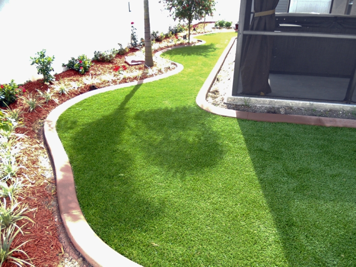 Outdoor Carpet North Palm Beach, Florida Landscaping, Small Backyard Ideas