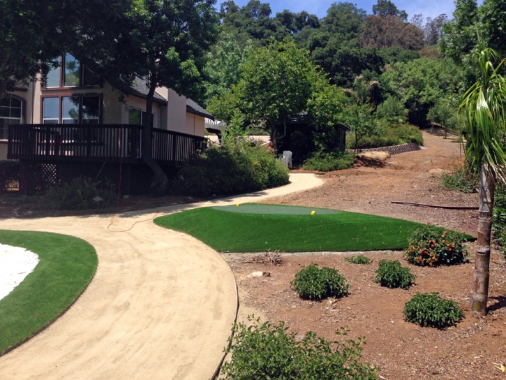 Outdoor Carpet Ocoee, Florida Backyard Putting Green, Front Yard Landscaping