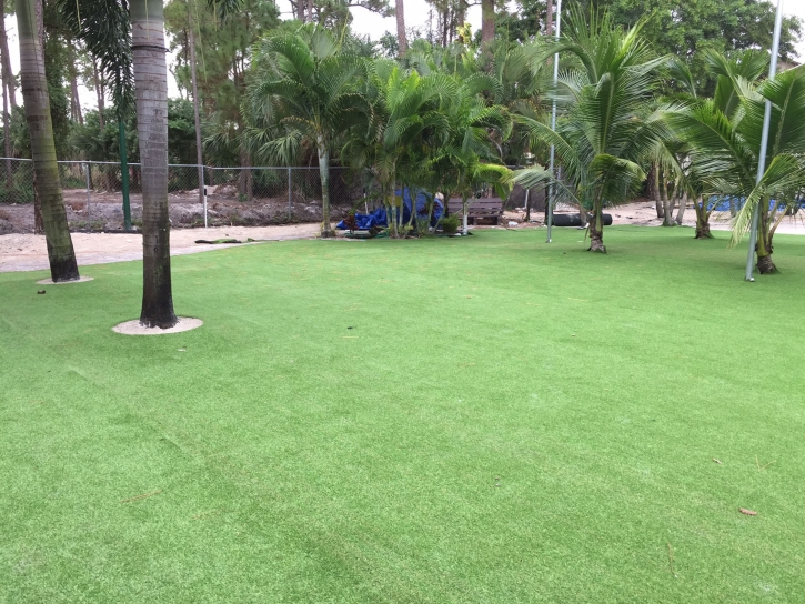 Outdoor Carpet Ojus, Florida Landscaping Business, Commercial Landscape