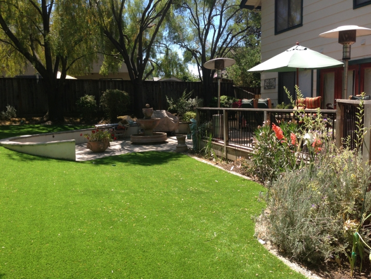 Outdoor Carpet Orlovista, Florida Roof Top, Backyard Landscape Ideas
