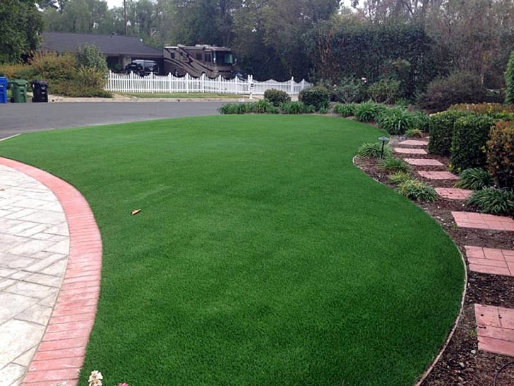 Outdoor Carpet Sugarmill Woods, Florida Landscape Design, Front Yard