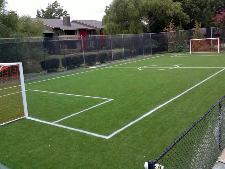 Outdoor Carpet Williamsburg, Florida Stadium, Commercial Landscape