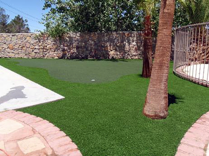 Plastic Grass Beacon Square, Florida Landscaping, Backyard Ideas