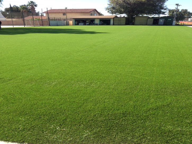 Plastic Grass Town n Country, Florida Landscaping Business, Parks