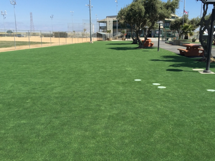 Synthetic Grass Brownsville, Florida Landscaping, Recreational Areas