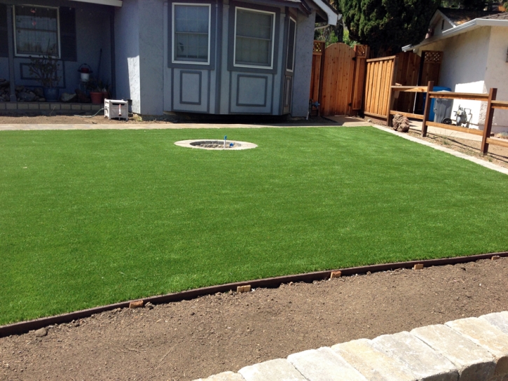 Synthetic Grass Cost Brooksville, Florida Lawn And Garden, Landscaping Ideas For Front Yard