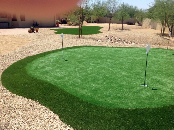 Synthetic Grass Cost Callaway, Florida Putting Green Flags, Backyard Landscaping Ideas