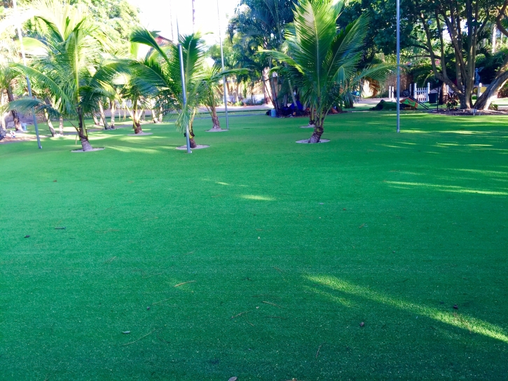 Synthetic Grass Cost Carol City, Florida Backyard Playground, Small Front Yard Landscaping