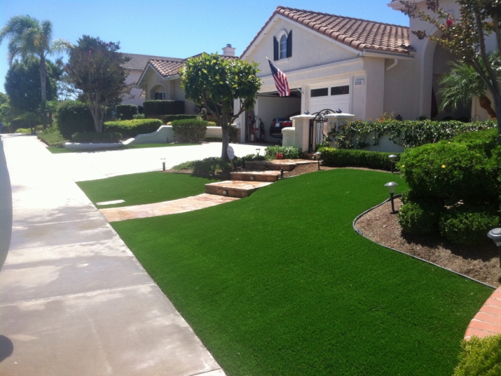 Synthetic Grass Cost Pine Hills, Florida Landscape Ideas, Front Yard Landscaping