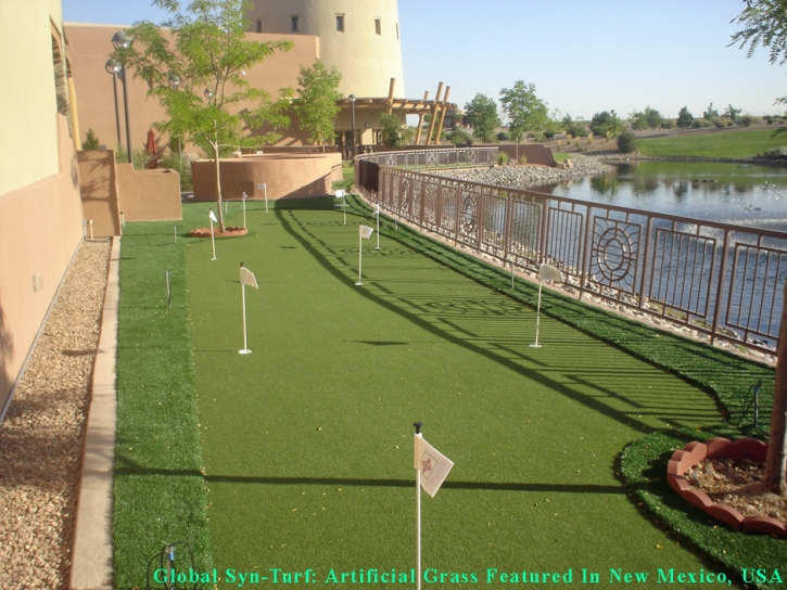 Synthetic Grass Cost Punta Gorda, Florida How To Build A Putting Green, Backyard Designs
