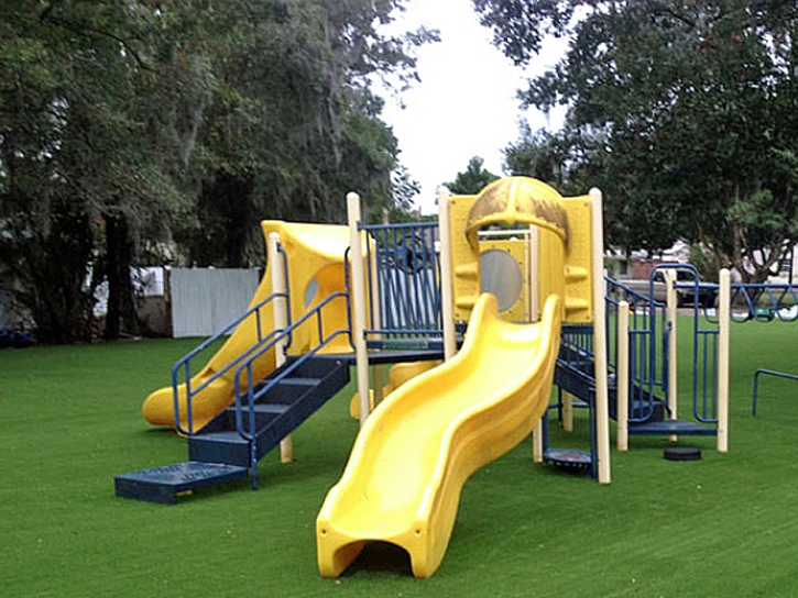 Synthetic Grass Cost Riviera Beach, Florida Backyard Playground, Recreational Areas