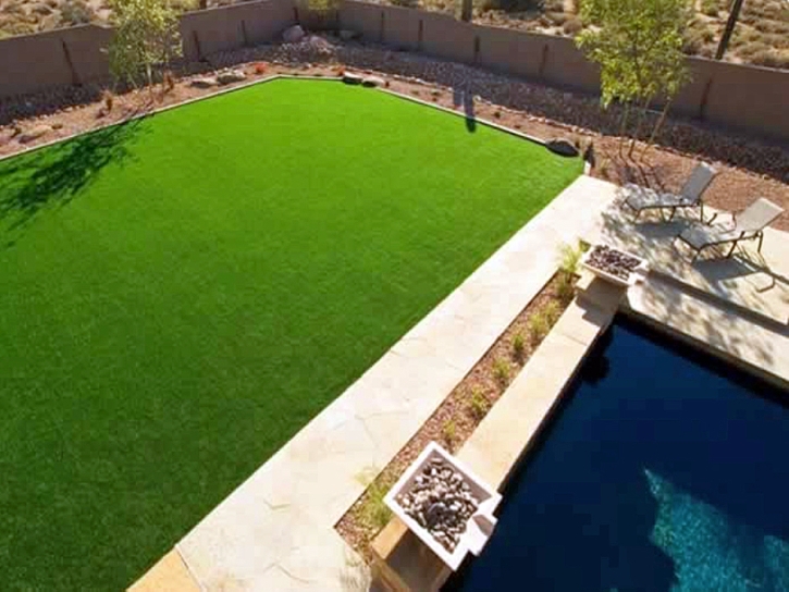 Synthetic Grass Cost Thonotosassa, Florida Landscape Ideas, Backyard Design
