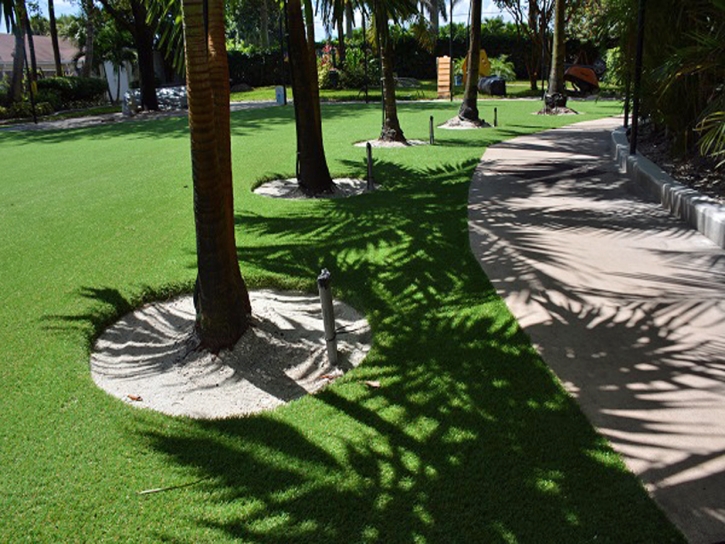 Synthetic Grass Cost Trinity, Florida Lawn And Landscape, Commercial Landscape