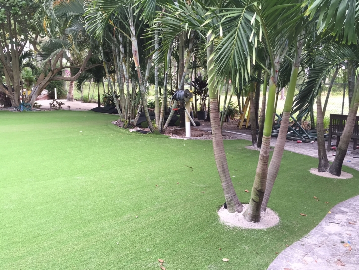Synthetic Grass Cost Westview, Florida Lawns, Commercial Landscape