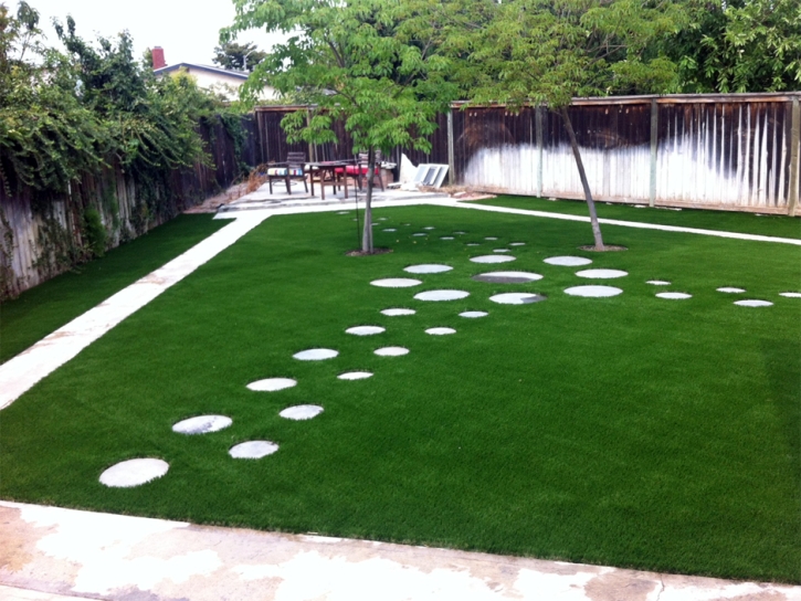 Synthetic Grass Naples, Florida Landscaping Business, Backyard