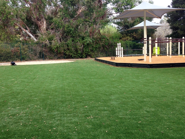 Synthetic Grass Samsula-Spruce Creek, Florida Indoor Playground