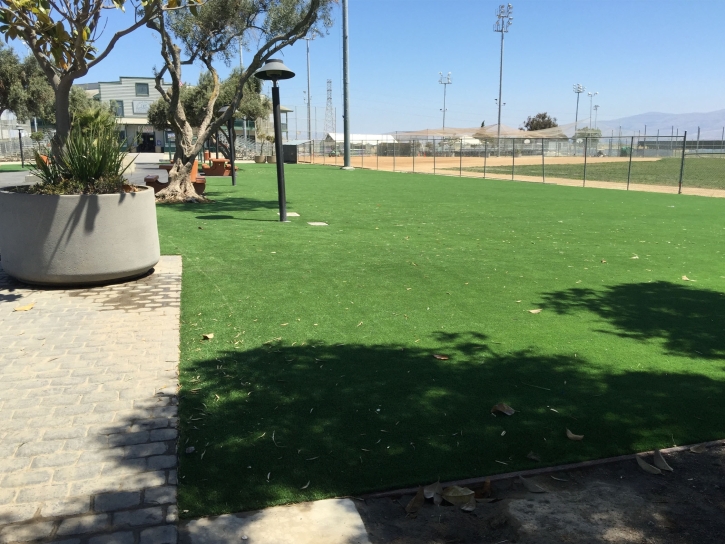 Synthetic Grass Sunny Isles Beach, Florida Design Ideas, Parks