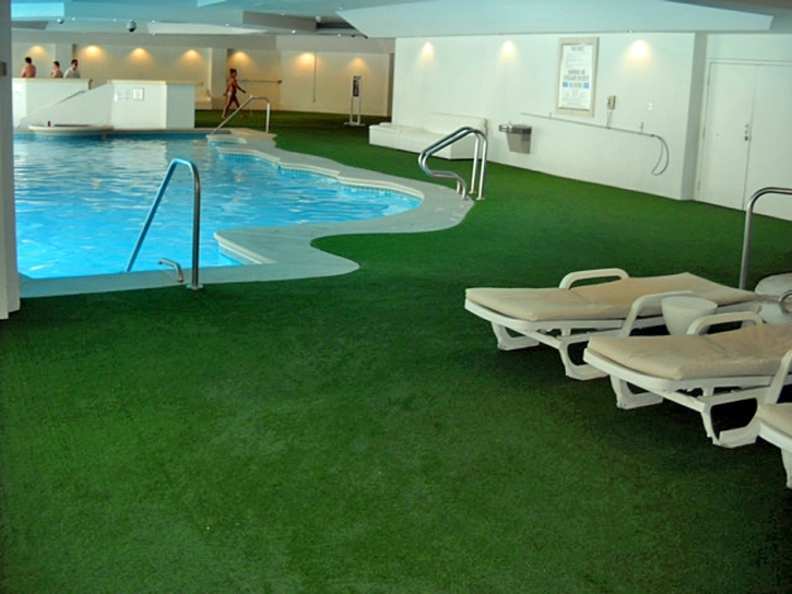 Synthetic Lawn Carrollwood Village, Florida Indoor Putting Greens, Backyard Pool