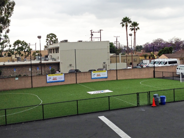 Synthetic Lawn Cypress Gardens, Florida Red Turf, Commercial Landscape