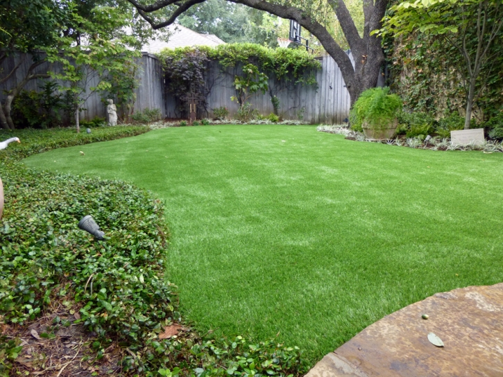 Synthetic Lawn Fern Park, Florida City Landscape, Beautiful Backyards