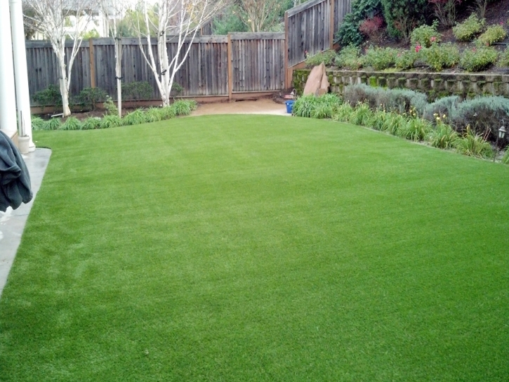 Synthetic Lawn Hamptons at Boca Raton, Florida Landscaping, Small Backyard Ideas